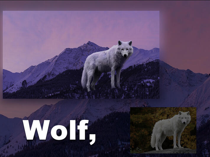 White Wolf